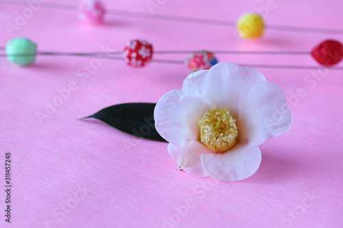 淡いピンク色の椿の花とちり緬玉の背景 Buy This Stock Photo And Explore Similar Images At Adobe Stock Adobe Stock 淡いピンク色の椿の花とちり緬玉の背景 Buy This Stock Photo And Explore Similar Images At Adobe Stock Adobe Stock