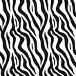 Zebra pattern, stylish stripes texture. Animal natural print. For the design of wallpaper, textile, cover. Vector 