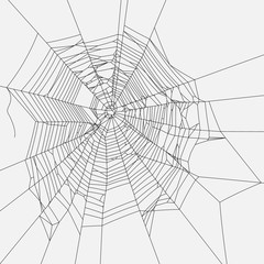 Cobweb vector decorative element. Spiderweb object on isolated background.