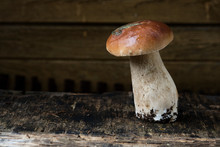 One Fresh, Wet Porcini Mushroom Stands On A Dark Background And A Yellow Background.