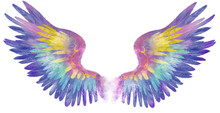 Beautiful Magic Rainbow Watercolor Wings