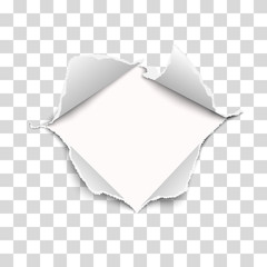 Wall Mural - Snatched middle of vector transparent paper with torn edges, soft shadow and empty space. Damaged sheet with white background for ad and other aims. Template paper design.