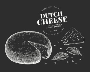 Dutch cheese illustration. Hand drawn vector dairy illustration on chalk board. Engraved style gouda head. Vintage food illustration.