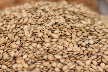 Roasted and salted watermelon seeds in a beautiful pile, isolated by a blurred background, the Jerusalem market.