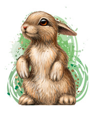 Rabbit. Color, Artistic, Graphic Image Of A Rabbit On A White Background In Watercolor Style.