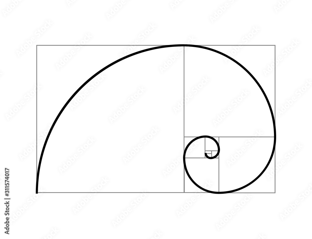 Golden ratio vector proportion spiral section. Fibonacci golden ratio ...