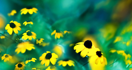 Wall Mural - Summer magic natural abstract background. Yellow small flowers against a beautiful aquamarine bokeh. Wide format.