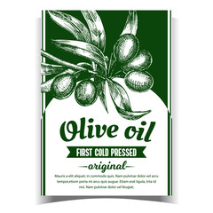 Poster - Olive Extra Virgin Organic Product Label Vector. Farming Greece Culture And Green Leaves on Bottle Sticker Hand Drawn In Vintage Style. Gastronomy Dietary Oil Promo Template Monochrome Illustration