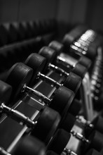 Dumbell At GYM, Blak And White Tone