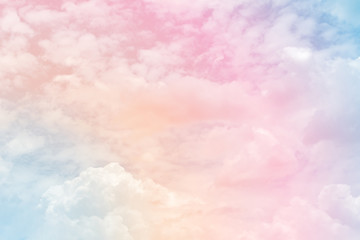 Wall Mural - cloud background with a pastel colour