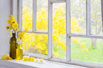 yellow spring flowers on windowsill