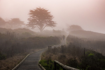 A man walks along the Moonstone Beach Boardwalk on a misty day in Cambria, California.  