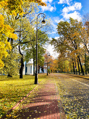 Wall Mural - beautiful autumn landscape in Sunny weather