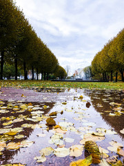 Wall Mural - beautiful autumn landscape in Sunny weather