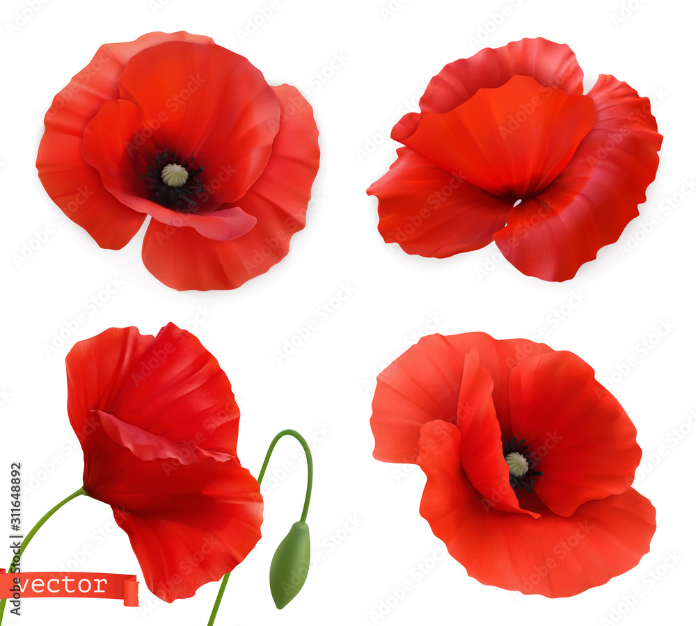 Red poppies. Papaver flowers 3d realistic vector icon set - obrazy, fototapety, plakaty 