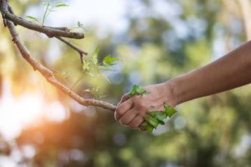 human handshake with a nature, earth day, human stay together with nature, environment and ecology c