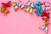 Multicolored Tropical Butterflies On Pink Background Top-down Frame Copy Space