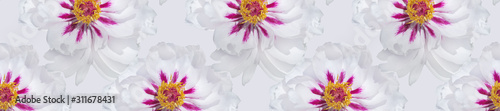 Banner white peony flower pattern.
