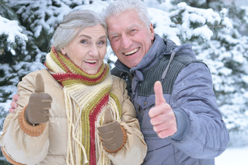 Wall Mural - Close up portrait of happy senior couple with thumbs up at snowy winter park