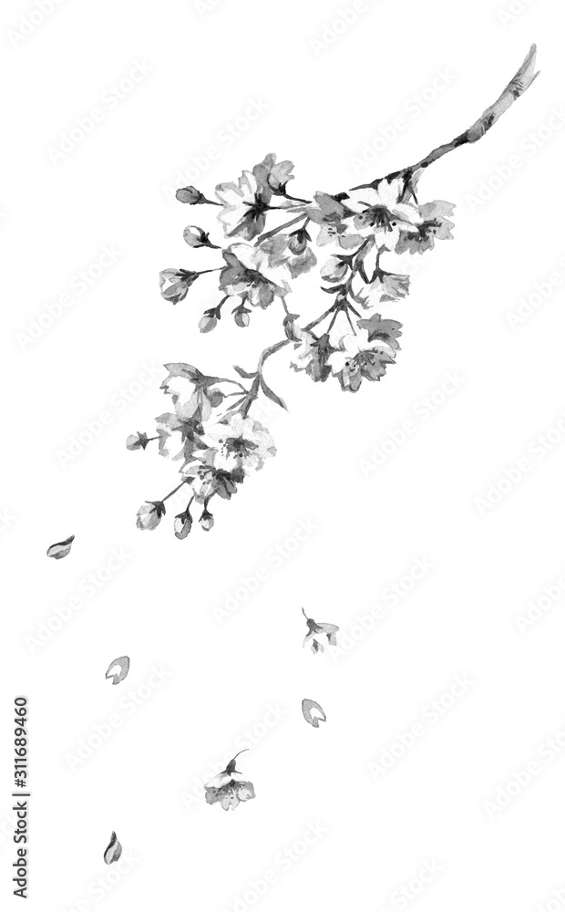 桜の花のモノクロ線画イラスト の Stock イラスト | Adobe Stock