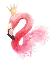 Flamingo With Golden Crown Illustration