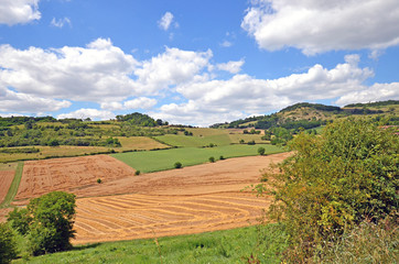 Sticker - Beautiful rural landscape with blue sky, spectacular clouds and wheat fields in Auvergne region in France