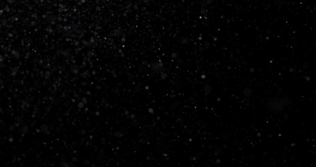 Wall Mural - Natural white winter snowfall on a black background