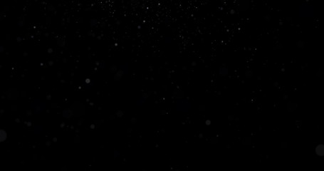 Wall Mural - Natural white winter snowfall on a black background