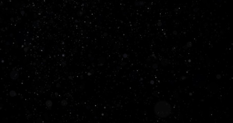 Wall Mural - Natural white winter snowfall on a black background