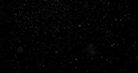 Wall Mural - Natural white winter snowfall on a black background
