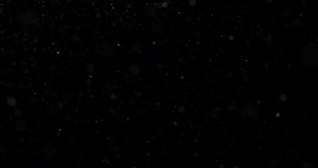Wall Mural - Natural white winter snowfall on a black background