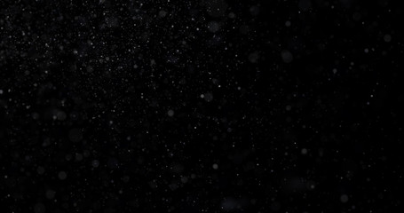 Wall Mural - Natural white winter snowfall on a black background