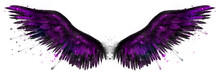 Beautiful Magic Black Purple Watercolor Wings