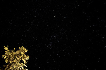 stars on black background
