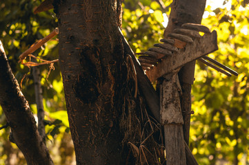 Garden rake leaned against a tree. Gardening tools, sunny day in the backyard. Farming, sun rays, sunlight.