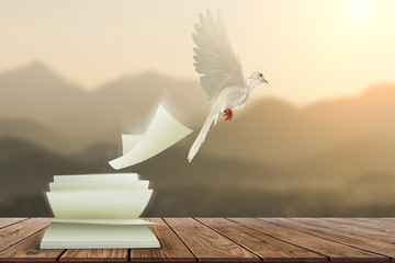 Canvas Afdrukken
 - White pigeons fly out of books that are flicked by the wind in beautiful light on sunset background.freedom concept and international day of peace          