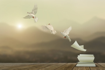 Fototapete - White pigeons fly out of books that are flicked by the wind in beautiful light on sunset background.freedom concept and international day of peace                                            
