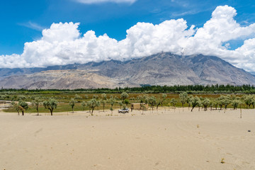 Wall Mural - Skardu Katpana Desert 31