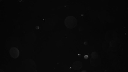 particles on black background, abstract overlay with particles and bokeh
