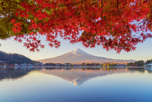 Mountain Fuji With Red Maple Leaves Or Fall Foliage In Colorful Autumn Season Near Fujikawaguchiko, Yamanashi. Five Lakes. Trees In Japan With Blue Sky. Nature Landscape Background