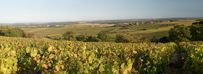 Canvas Print - Panoramique Préhy