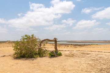 Wall Mural - Bhambore Fort Ruins 112