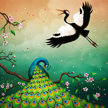 Conceptual Illustration For  Fairy Tale About  Smart Crane And  Beautiful Peacock. 