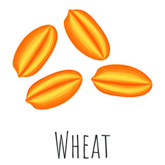 Wheat grain isolated illustration, cartoon style vector clip-art.