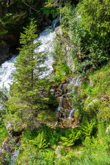 Wall Mural - Idyllic view along the path to Lake Nambino, near Madonna di Campiglio. Province of Trento, Trentino Alto Adige, northern Italy.