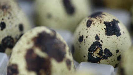 Canvas Print - Seamless loopable rotating Quail Eggs (4K)