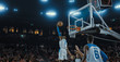 © haizon - Basketball players on big professional arena during the game. Tense moment of the game. Celebration