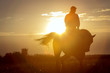 A girl riding a horse across a field of white dandelions retires into the sunset against the background of the sun