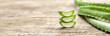 Pieces of aloe vera with pulp on a wooden background