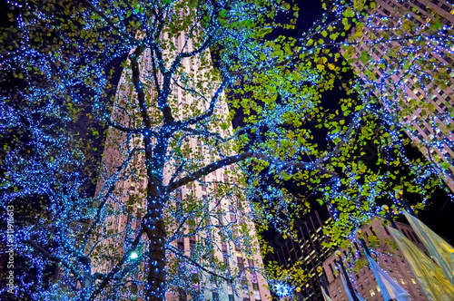 Fotomural Blue Lights Rockefeller Center